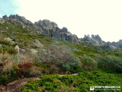 Sur Maliciosa - El Peñotillo; sierra guadarrama, madrid, reto senderismo